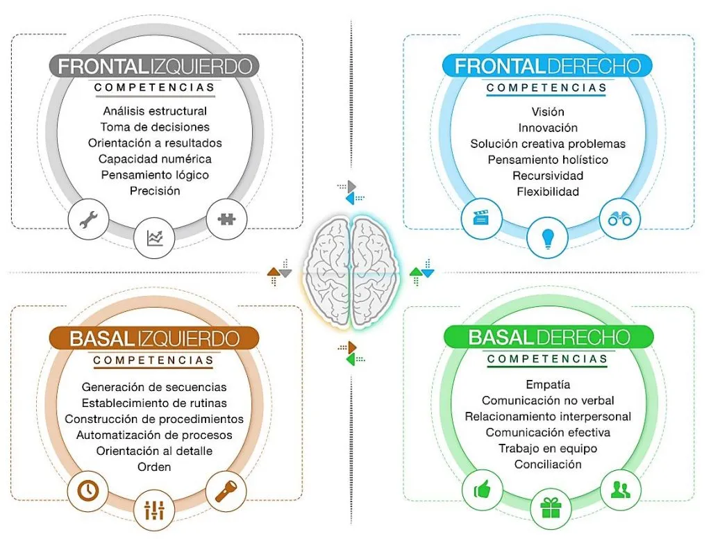 Diagrama de los 4 Cuadrantes de la Personalidad, modelo de estilos de pensamiento para liderazgo y comunicación